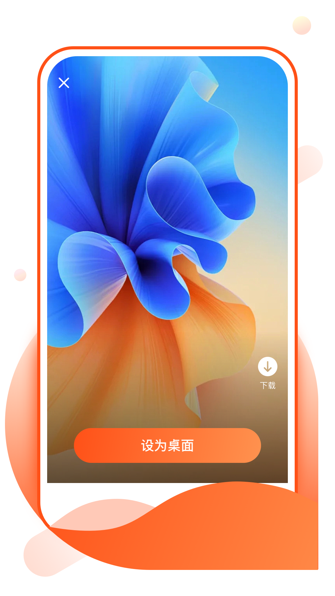 奶酪壁纸