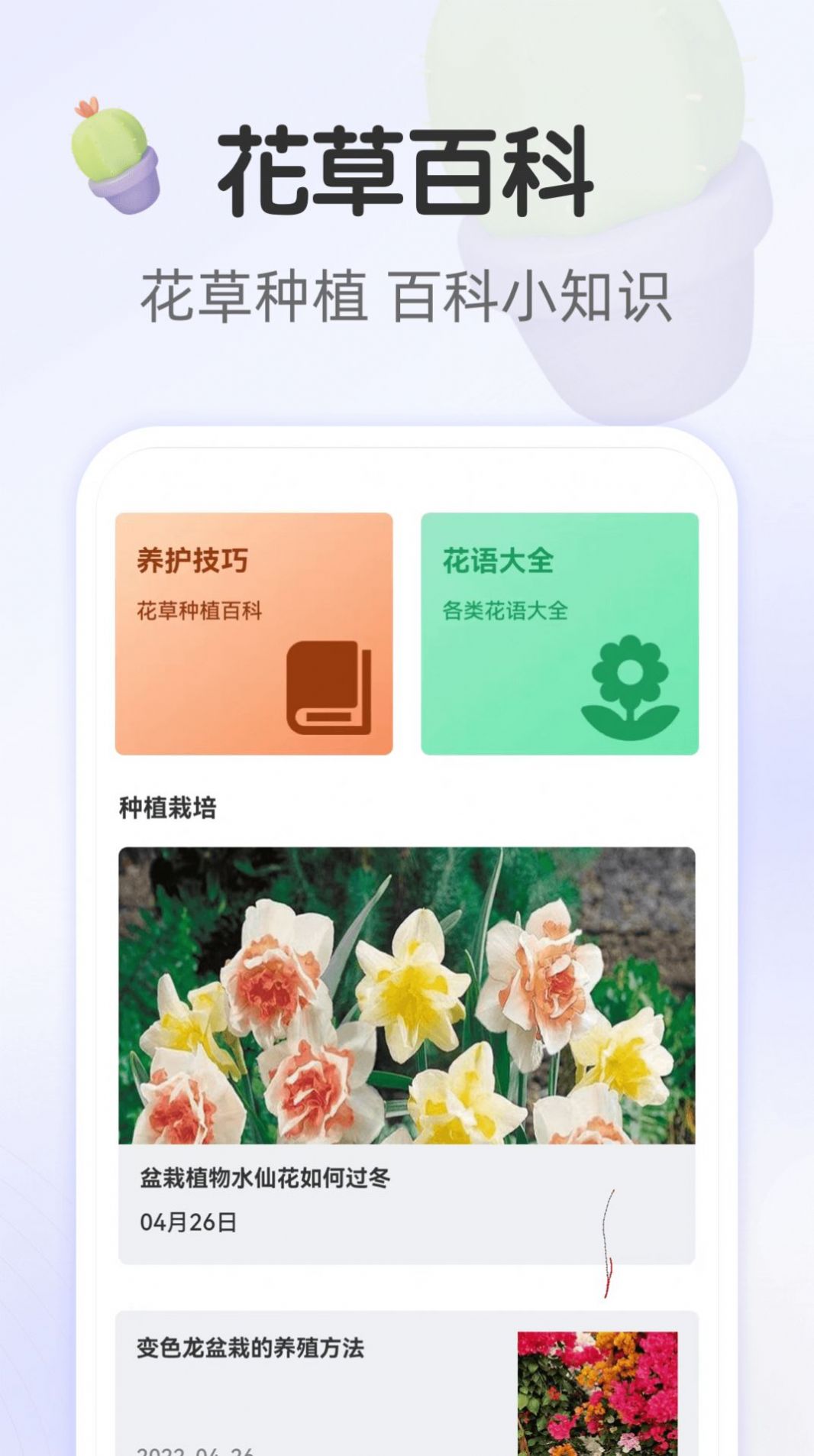 畅享大字版资讯阅读APP版