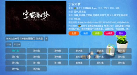 拾光Cat最新下载