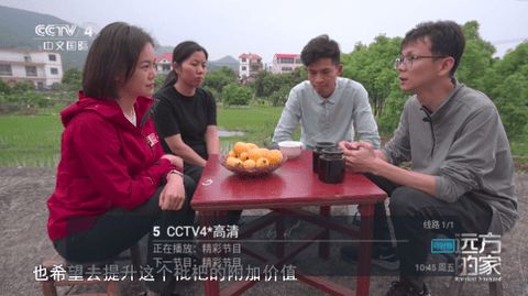 天微电视软件版