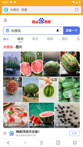 Fiery浏览器