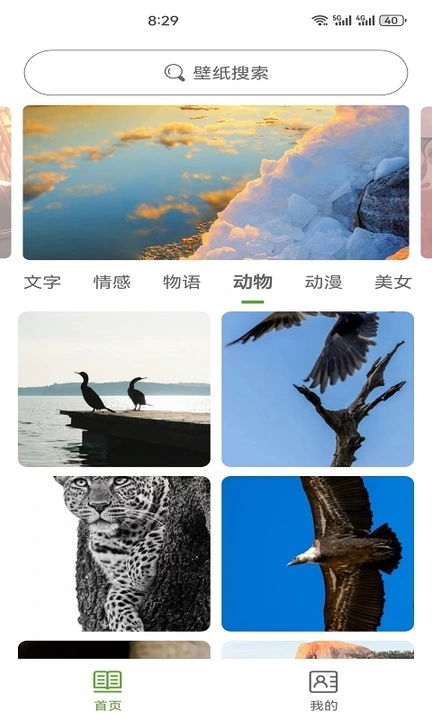 白叶壁纸软件下载