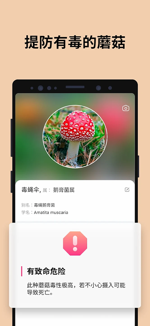 蘑菇识别扫一扫