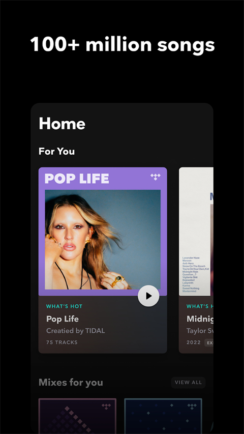 tidal音乐播放器