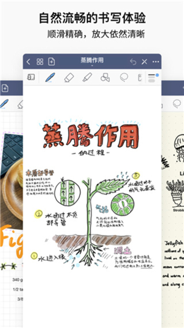 GoodNotes安卓版