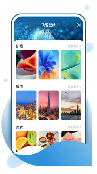 飞羽壁纸