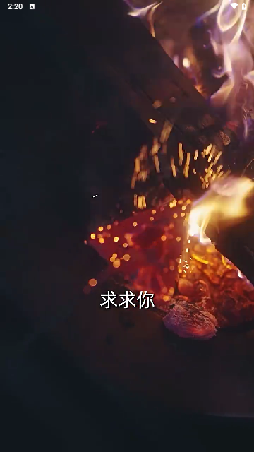 八荒视频