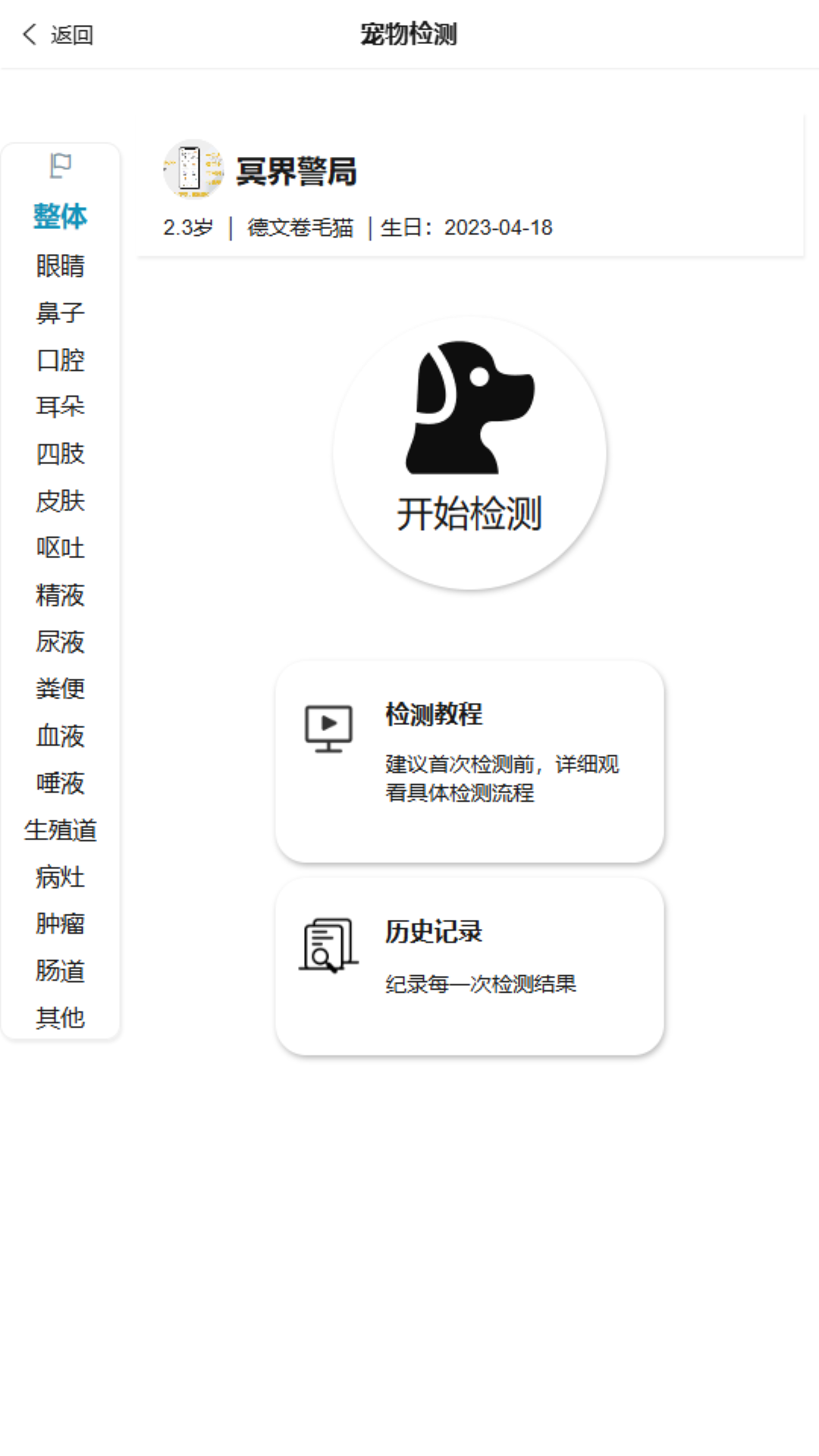 了不起的派特萌