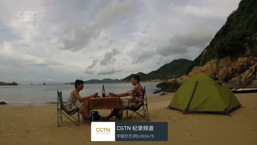 随风电视软件下载
