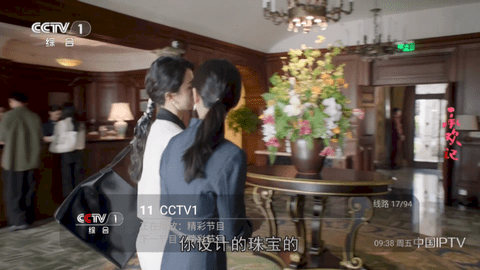 壁虎电视软件版