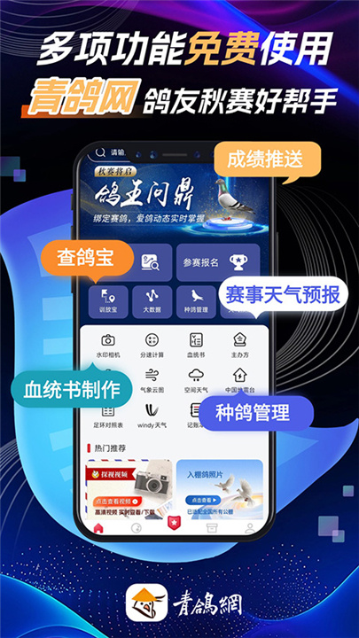 青鸽网