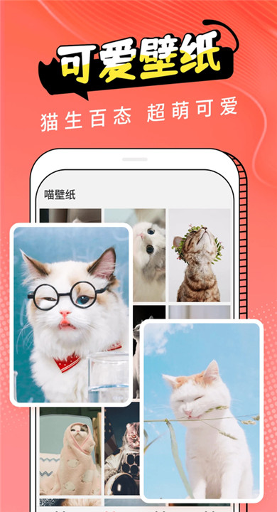 动物交流器