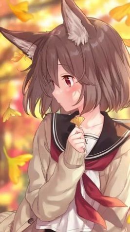严选漫画免费浏览APP软件版
