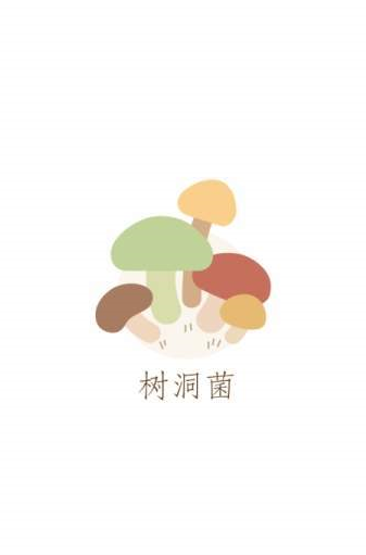 树洞菌app