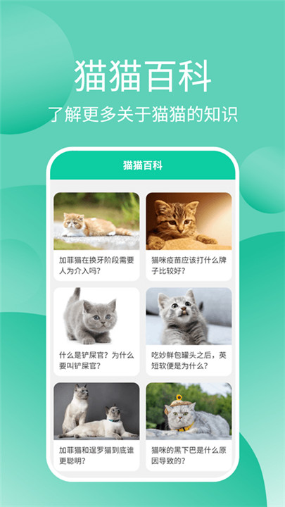 猫猫交流工具