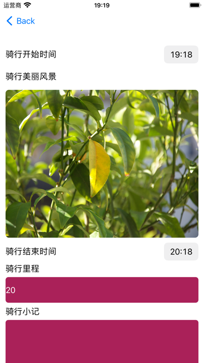 羊羊爱骑车影视软件最新版