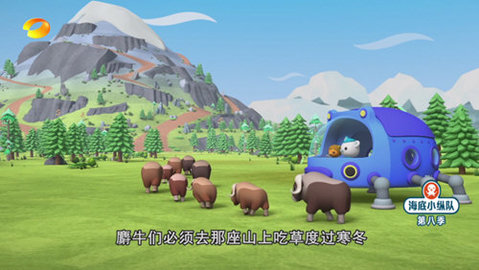我的电视PRO下载app