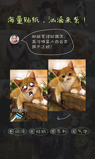 萌宠相机软件