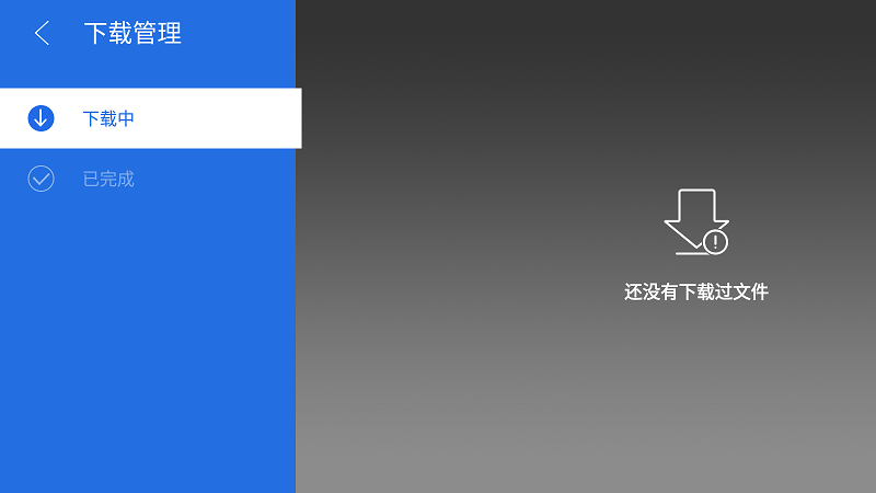 白夜浏览器电视版