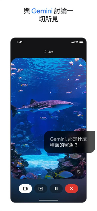 Gemini AI