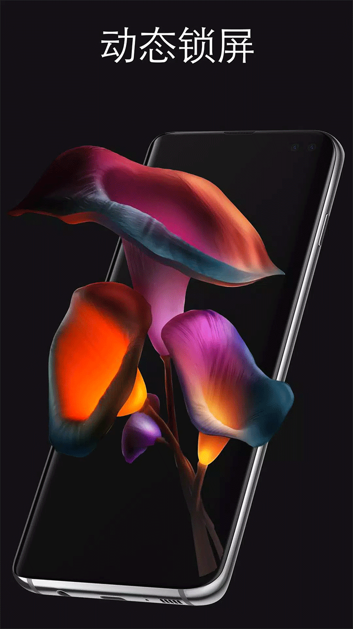 Pixel4D动态壁纸