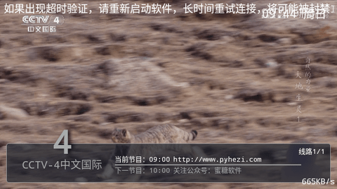 Pn播放器1.0下载
