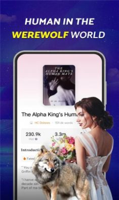 readink小说软件最新版