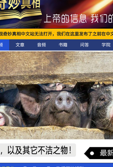 奇妙真相app2021下载最新版本