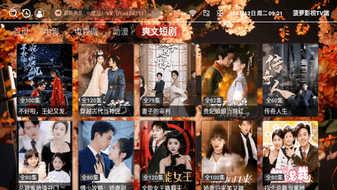 菠萝影视TV端软件下载