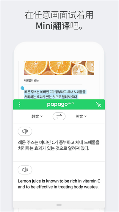 Papago中韩翻译器