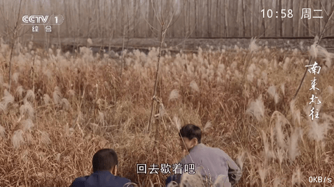 酷兴电视内部软件TV版