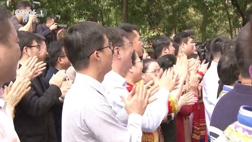 一本TV最新下载