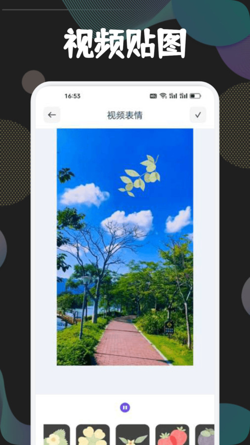 狮子影视投屏软件版