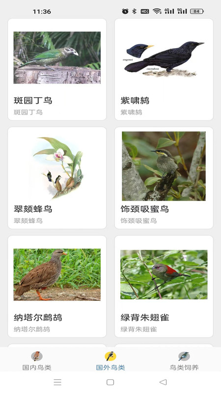 鸭鸭的世界软件版