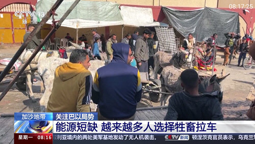 巴豆侠TV下载APP