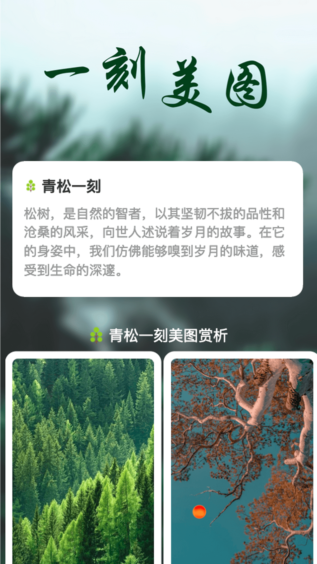青松一刻软件最新版