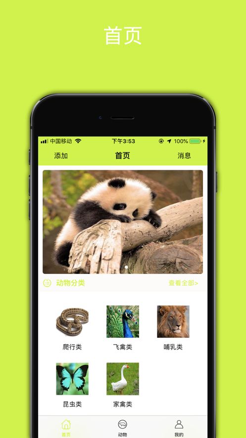 Animal_Plus APP客户端