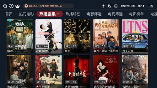 王视影视软件版
