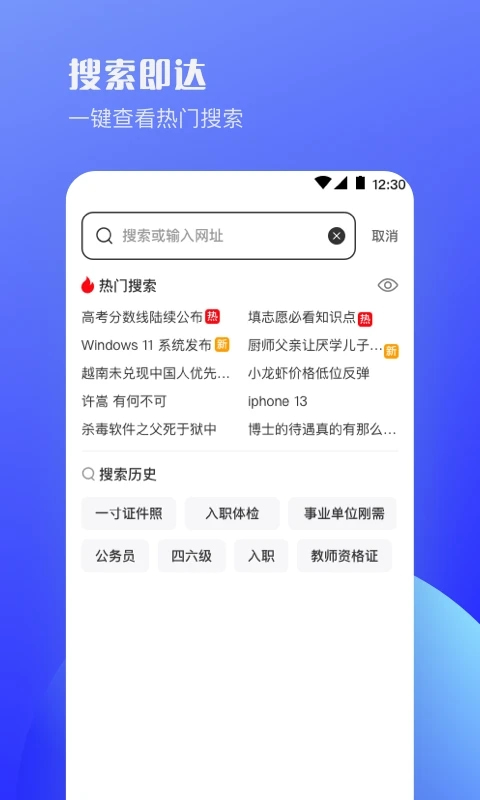 迷你浏览器