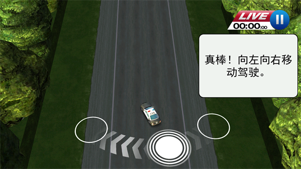 亡命威龙