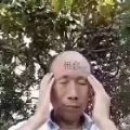 圣主雄鹰高飞语音包吃鸡助手下载