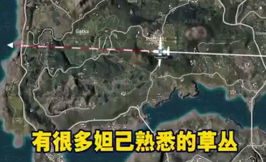 妲己吃鸡语音包助手数据包
