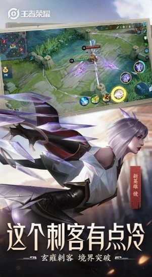 王者荣耀神代免费卡密VIP最新版