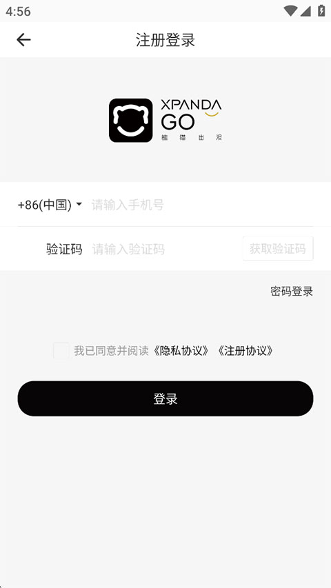熊猫出没