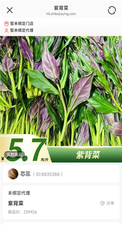 小蛋优选