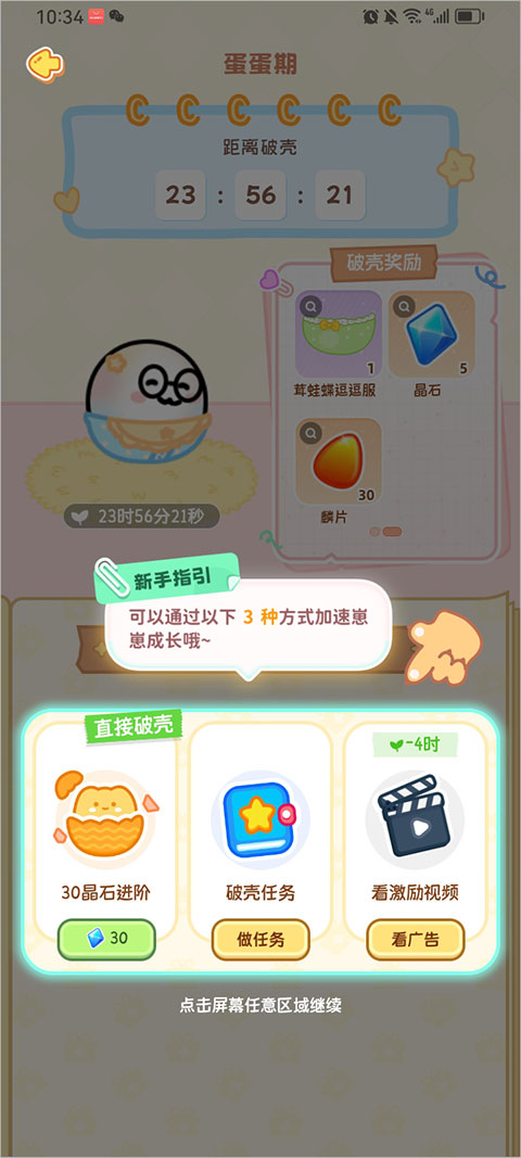 元仔养宠