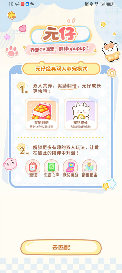 元仔养宠