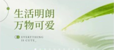 碳收侠