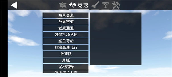 简单飞行汉化版