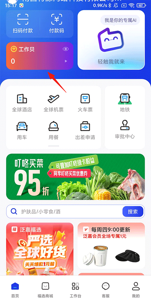 泛嘉行